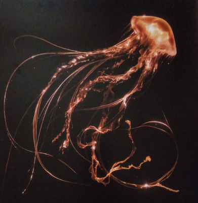 Royal Blood (6) - Back To The Water Below (2023, UK & Europe, Vinyl)