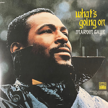 Marvin Gaye - What's Going On (2023, Europe, Vinyl)