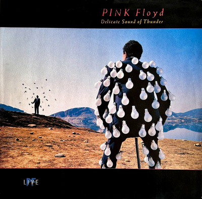 Pink Floyd - Delicate Sound Of Thunder (1988, Europe, Vinyl)