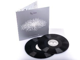 Przemysław Strączek - Fig Tree (2020, Vinyl)