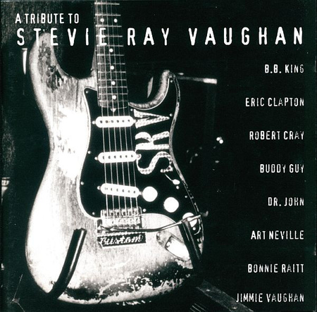 Various - A Tribute To Stevie Ray Vaughan (1996, Europe, CD)