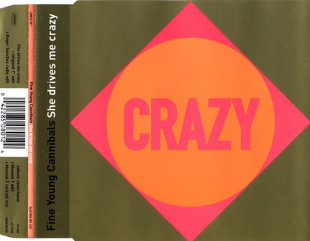 Fine Young Cannibals - She Drives Me Crazy (1996, CD)