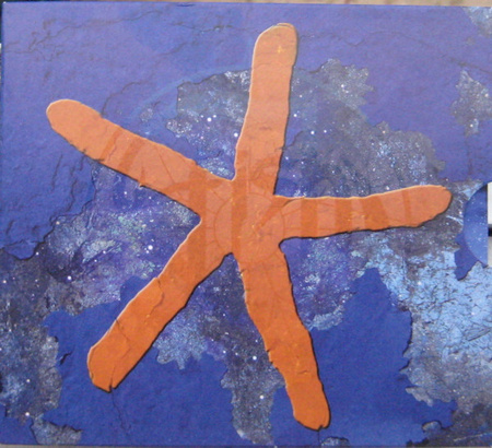 Fish - 13th Star (2008, UK, CD)