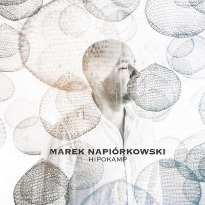 Marek Napiórkowski Hipokamp