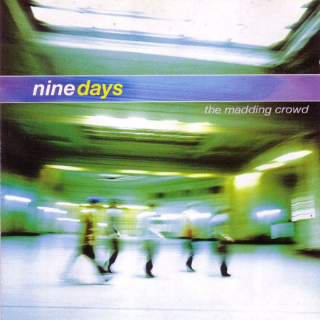 Nine Days - The Madding Crowd (2000, Europe, CD)