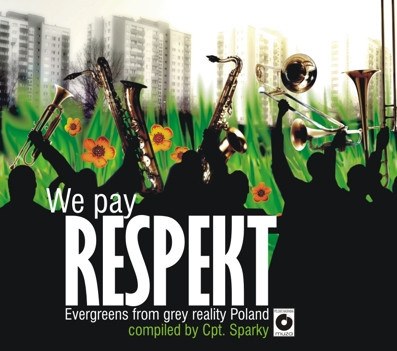 Various - We Pay Respekt - Evergreens From Grey Reality Poland (2009, Poland, Vinyl)