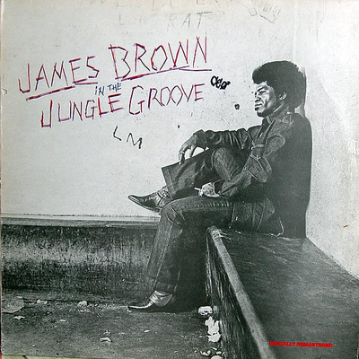James Brown - In The Jungle Groove (1986, UK, Vinyl)