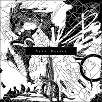 Sean Baxter - Metal / Flesh (2011, Poland, Vinyl)