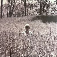 Taylor Swift - Folklore (2020, Europe, Vinyl)