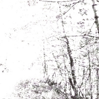 Agalloch - The White EP (2008, US, CD)