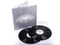 Przemysław Strączek - Fig Tree (2020, Vinyl)