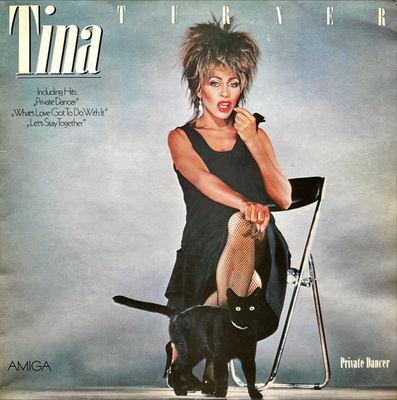 Tina Turner - Private Dancer (1985, German Democratic Republic (GDR), Vinyl)