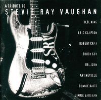 Various - A Tribute To Stevie Ray Vaughan (1996, Europe, CD)