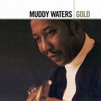 Muddy Waters - Gold (2007, Europe, CD)