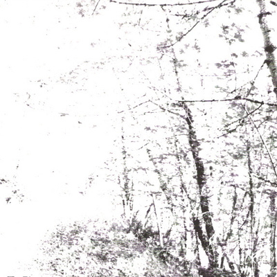 Agalloch - The White EP (2008, US, CD)