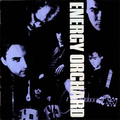 Energy Orchard - Energy Orchard (1990, CD)