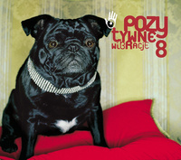 Various - Pozytywne Wibracje 8 (2006, Poland, CD)