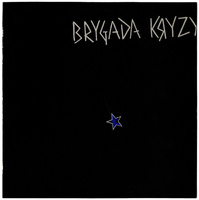 Brygada Kryzys - Brygada Kryzys (1982, Poland, Vinyl)